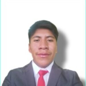 Foto de perfil de Nilton Alex Mamani Pilco